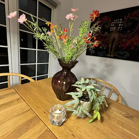 别墅 Bliss With Terrace And Space In *